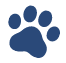 Cat paw